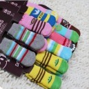 Носки для собак и кошек