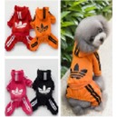 Спортивный яркий костюм с эмблемой для собак